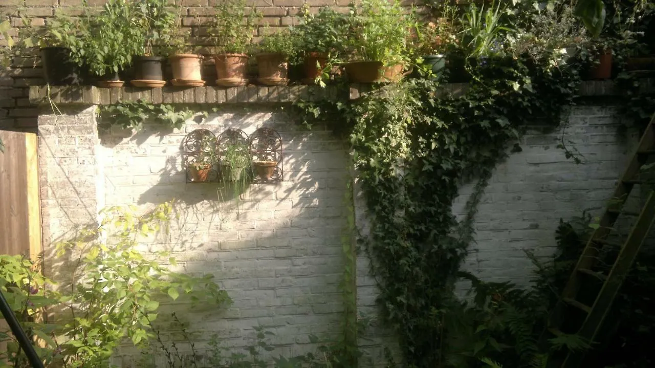 Panzió Smitsstraat B&B Eindhove Hollandia